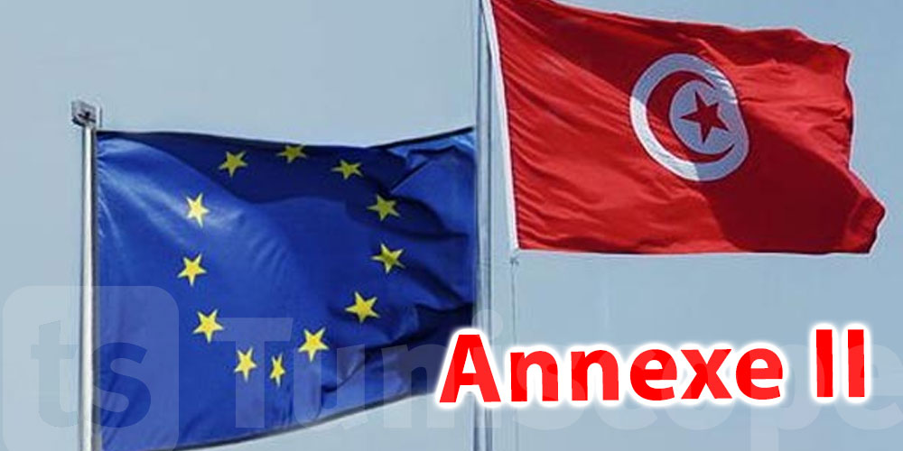 La Tunisie retirée de l'annexe II lié à la liste de l'UE des juridictions fiscales non coopératives