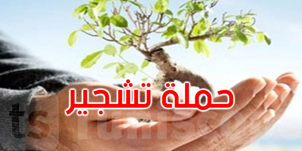 استعدادًا للعيد الوطني للشجرة: بلدية تونس تفتح باب المشاركة أمام المواطنين