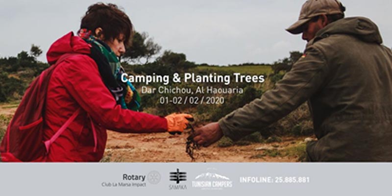 Planter des Arbres pour compenser son empreinte carbone, une prise de conscience des jeunes Tunisiens
