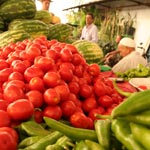 Baisse considérable des prix de légumes au marché de l’Ariana