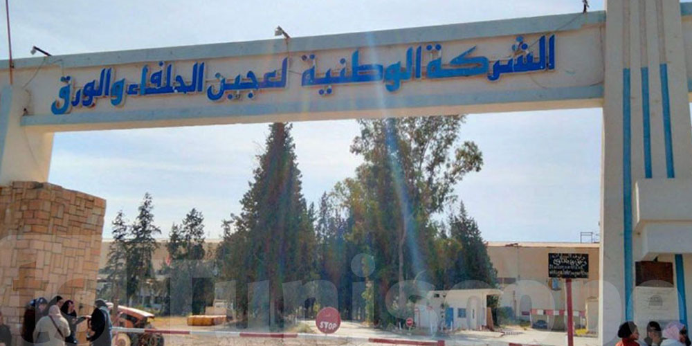 البرلمان يصوّت على دعم عاجل لإنقاذ شركة عجين الحلفاء والورق