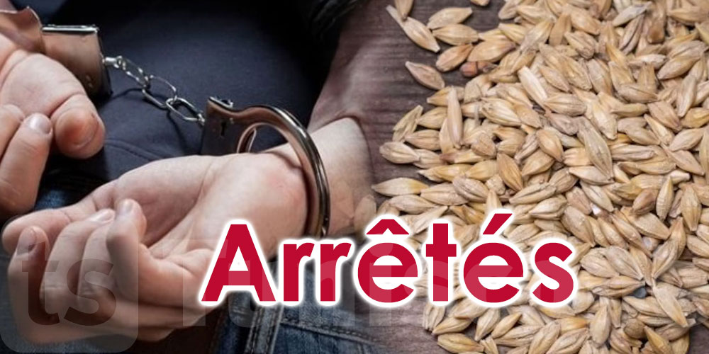 Tunisie: 4 individus arrêtés pour détournement d'orge subventionné 