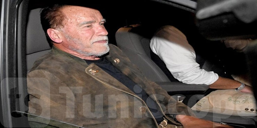 بعد احتجازه في المطار: ألمانيا تغرم الممثل أرنولد شوارزنيجر 35 ألف يورو 