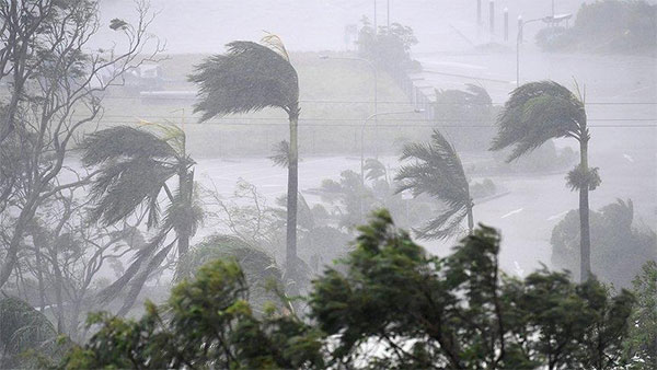 إعصار ''ديبي'' المدمر يقطع الكهرباء عن 35 ألف منزل في أستراليا