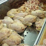 منوبة : حجز 213 كغ من الدجاج الغير صالح للإستهلاك و إتلاف كمية من اللحوم الحمراء الفاسدة 