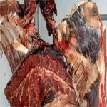 Saisie de plus de 500 Kg de viande rouge avariée à la Cité El Khadhra