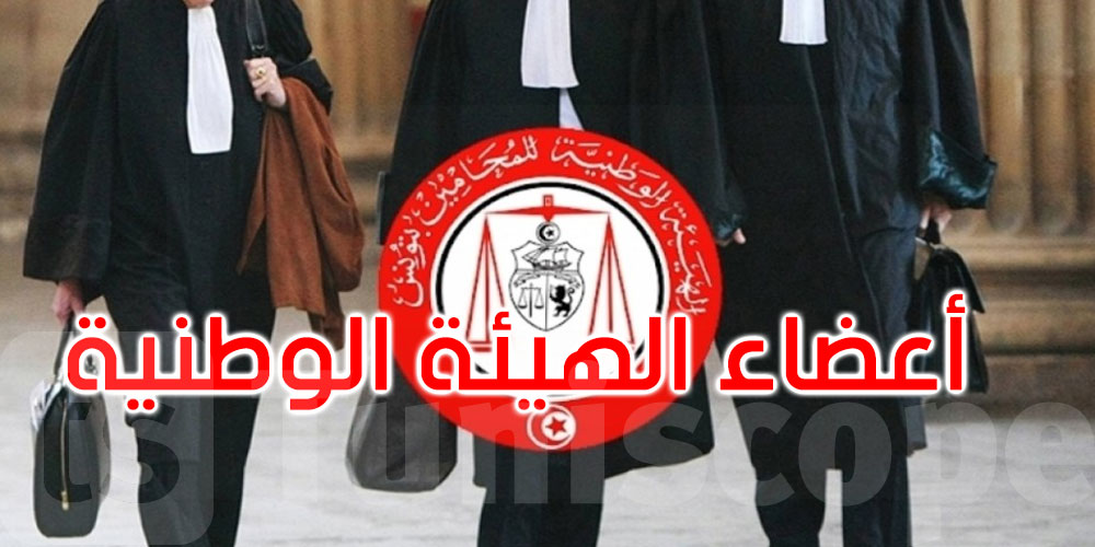 بالأسماء: أعضاء الهيئة الوطنية للمحامين 2025-2028
