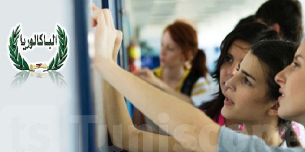 عاجل: توجه مفاجئ – تلميذ من كل ثلاثة يختار شعبة الاقتصاد في بكالوريا 2025!