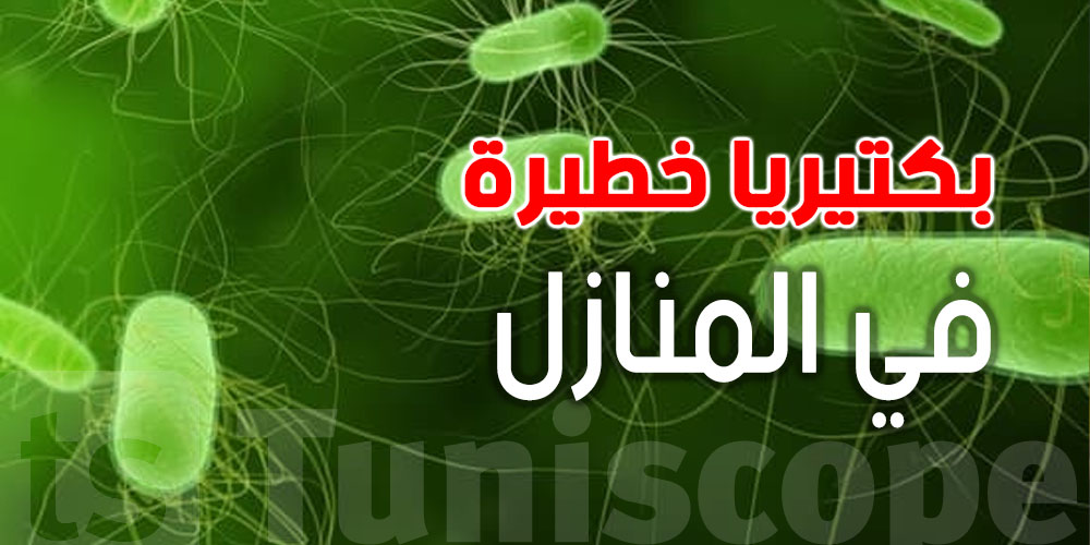 بكتيريا خطيرة في المنازل.. والسرّ في حوايجك...شنيا؟