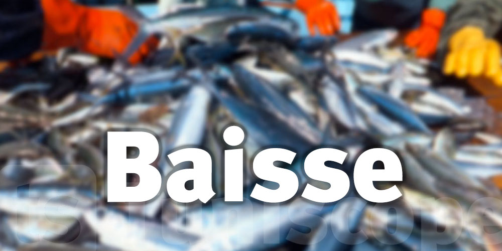 Baisse des exportations des produits de la pêche de 0,3% en volume et de 2,7% en valeur
