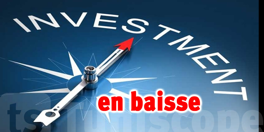 Services: Les investissements déclarés en baisse de 37.5%