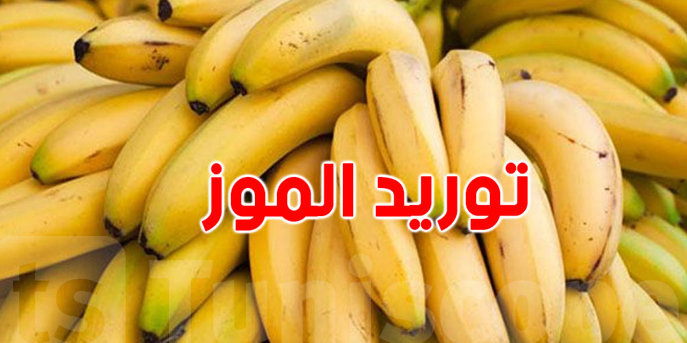 وزارة التجارة : '' نحو توريد 200 طن من الموز و بيعه بهذا السعر ''
