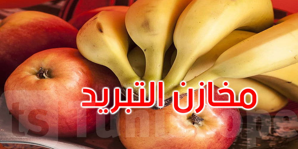 هذا ما طلبته وزارة التجارة من أصحاب ومستغلي مخازن التبريد وأصحاب كميات التفاح والموز المخزنة