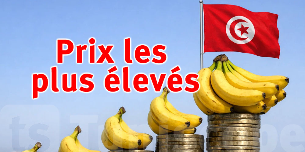 Bananes : Pourquoi la Tunisie affiche les prix les plus élevés au monde ?