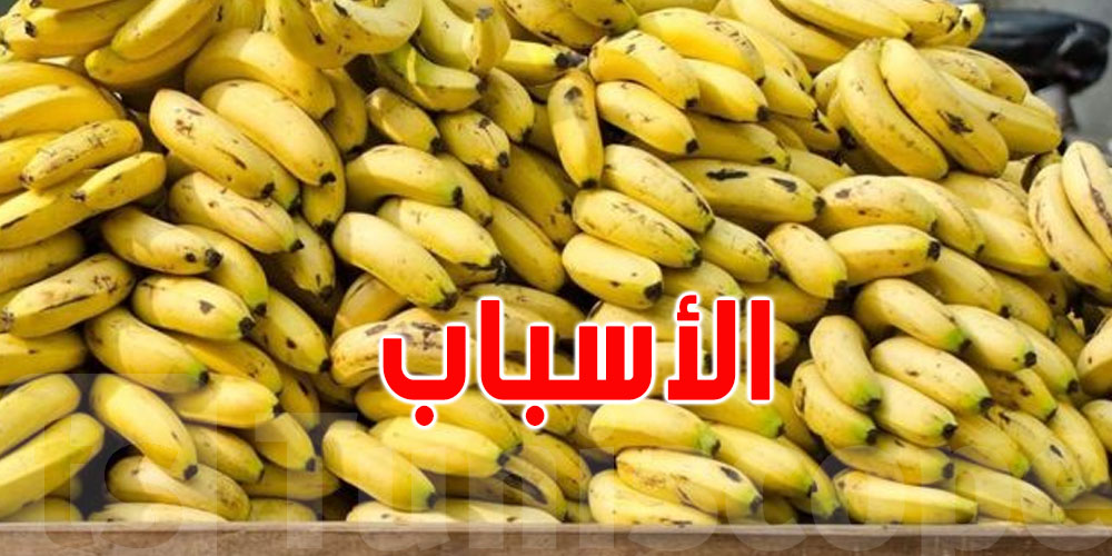 وزارة التجارة: هذه أسباب اضطراب التزوّد بالموز