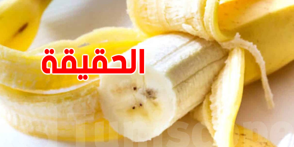 البانان يطلّع السكر ولا لا؟ الحقيقة اللي ما قالهالك حد