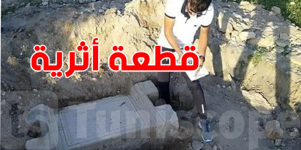 مدير عام معهد التراث.. هذا محتوى النقيشة الأثرية