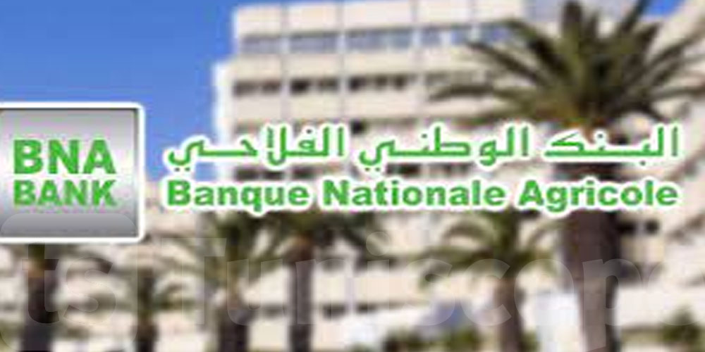 البنك الوطني الفلاحي يخصص 120 مليون دينار لمعاضدة مجهود الفلاح في بداية الموسم