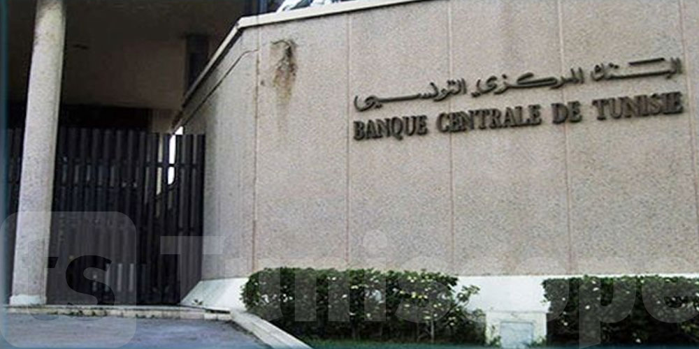 موفى فيفري: عائدات العمل ترتفع بـ6،2 بالمائة
