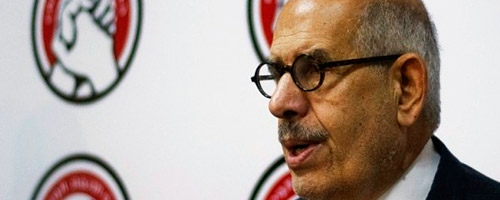 baradei-020713-1.jpg