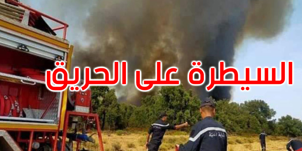 برقو: السيطرة على حريق أتى على 500 شجرة زيتون و15 هكتار حصيدة