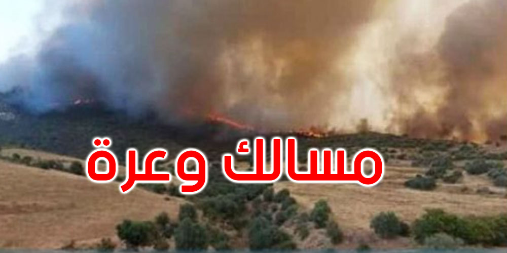 حريق جبل البياض ببرقو: تسخير طائرة عسكرية للإطفاء