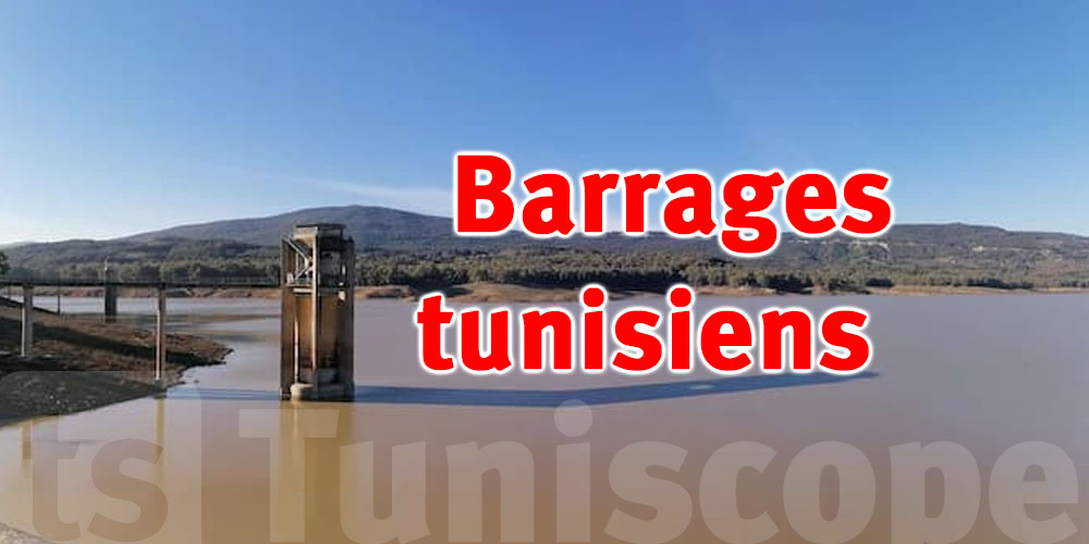 Pluies record en Tunisie : où en sont les principaux barrages ?