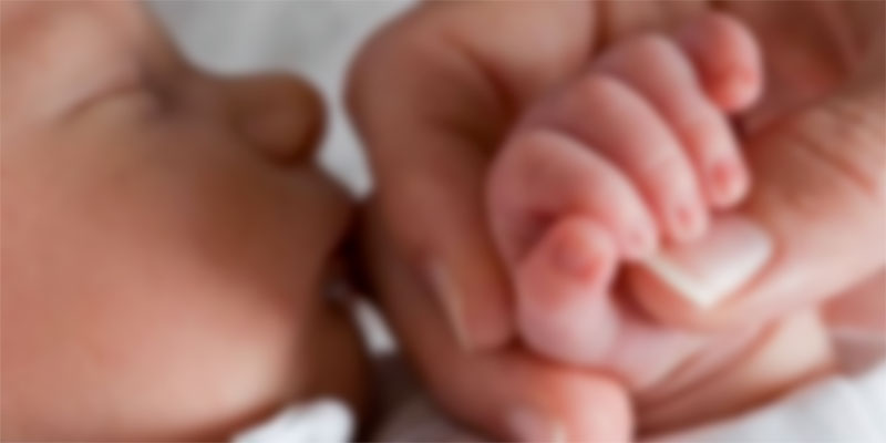 Discussion de la version finale du projet de loi sur les congés de maternité et de paternité