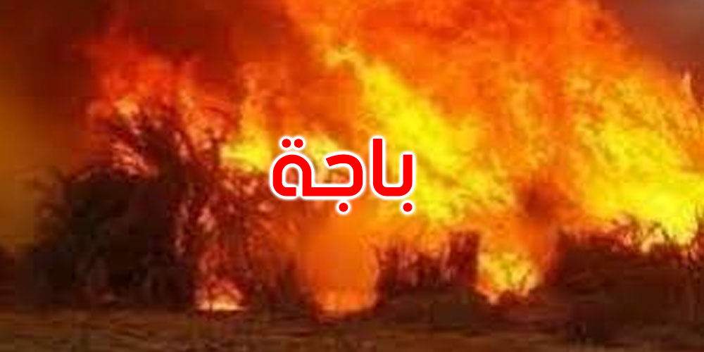 باجة: تواصل الجهود للسيطرة على حريق ضخم والنيران تهدد التجمعات السكنية
