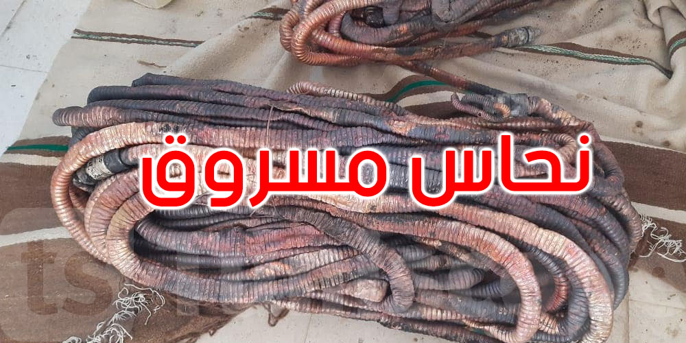 مجاز الباب: الاحتفاظ بنفرين سرقا كميات من النحاس من مؤسسة عمومية