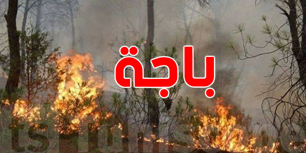 حريق جديد في هذه المنطقة من معتمدية باجة الجنوبية