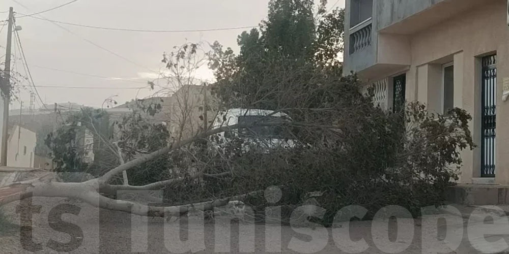 هذا ما خلّفته الرياح في باجة