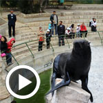 En Photos et Vidéo : Visite de sensibilisation des coulisses du zoo du Belvédère