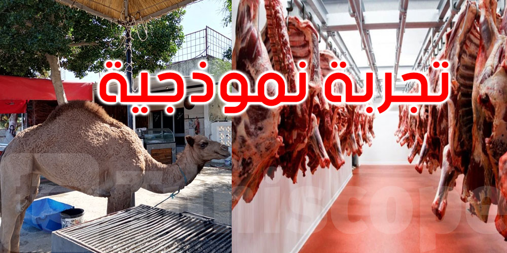 لحوم الإبل على طاولة المستهلك: اتفاقية لتعزيز الإنتاج والتوزيع