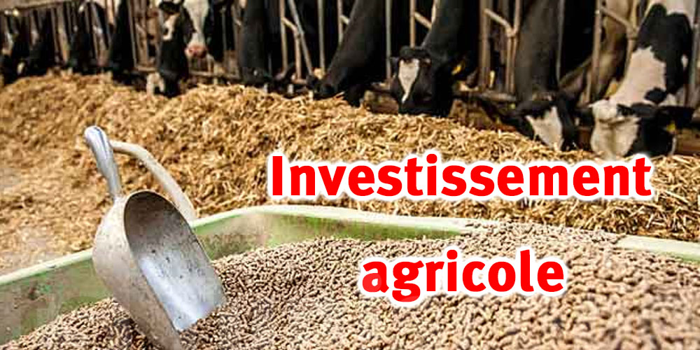 300 000 dinars pour l'approvisionnement alimentaire des élevages