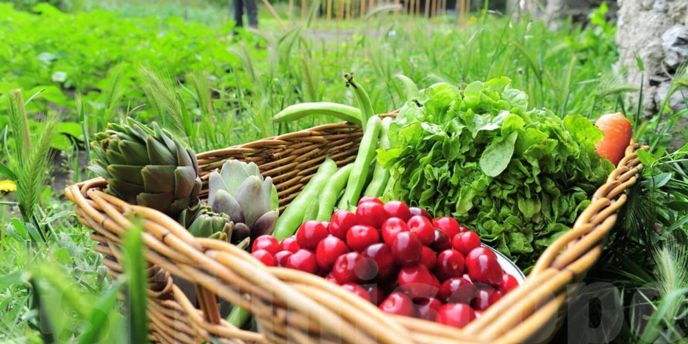 La valeur des exportations agricoles biologiques augmentent de 22,4%