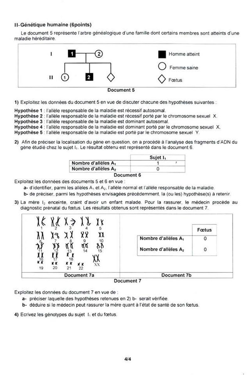 biologie-0706184.jpg