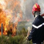 بنزرت: اندلاع حريق في 30 هكتارا من اشجار الصنوبر الحلبي