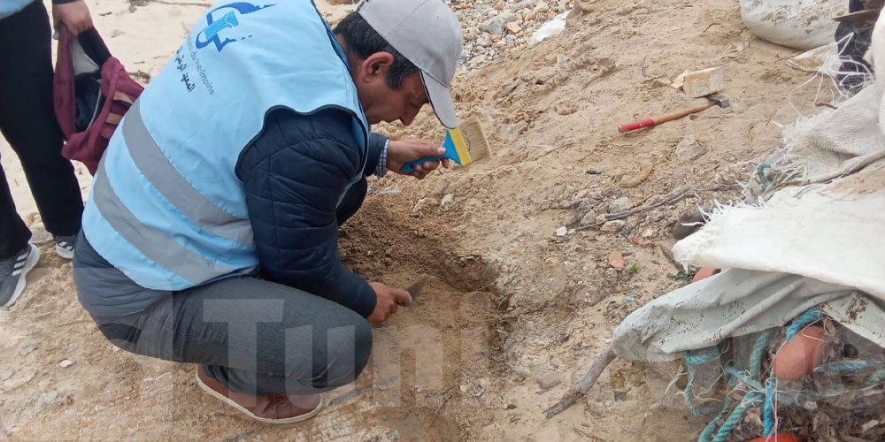 عاجل: معهد التراث يوثّق اكتشافات أثرية جديدة بسواحل بنزرت... التفاصيل