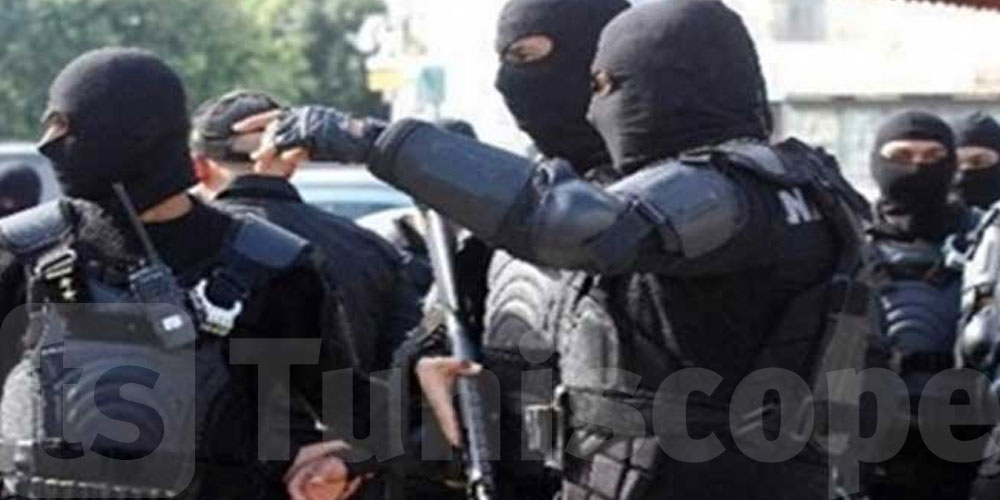 زغوان-بنزرت: القبض على تكفيريين مفتش عنهما