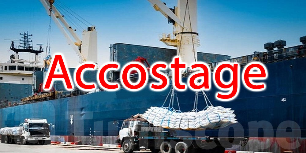 Cargaison de 24 000 tonnes d’ammonitrate accoste à Bizerte