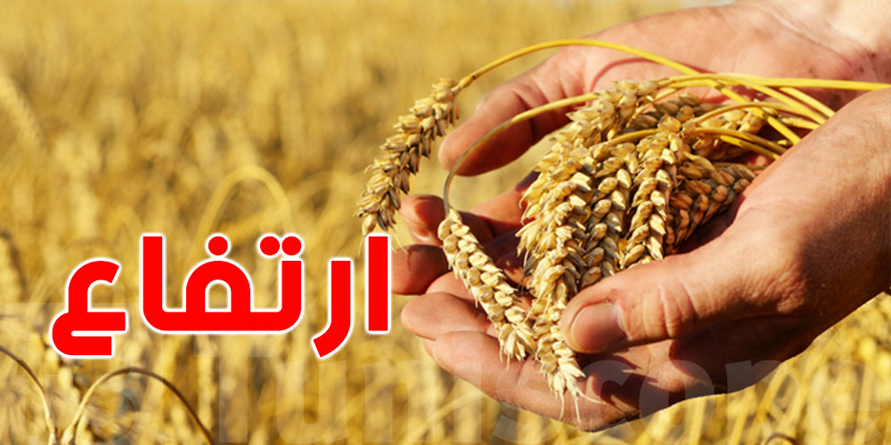 إرتفاع أسعار القمح بنسبة 12,8 بالمائة على مستوى السوق الدولية