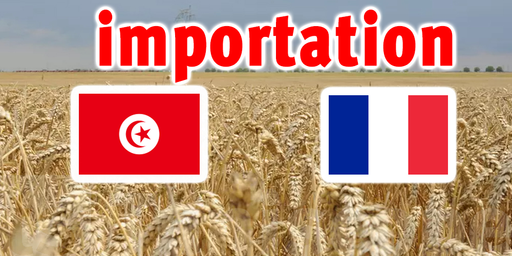  La Tunisie va importer 250 mille tonnes de blé de la France