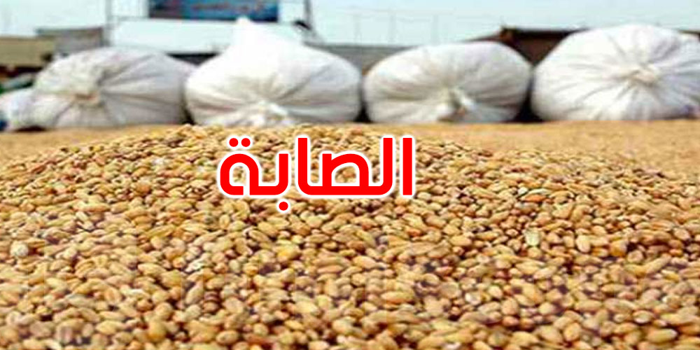 أكثر من 11 مليون قنطار: موسم استثنائي لتجميع الحبوب في تونس