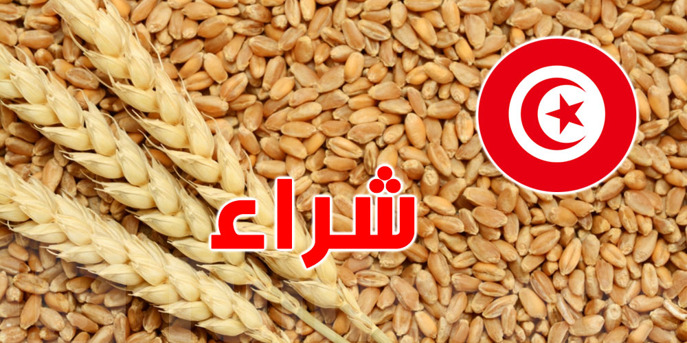 رويترز: تونس ستشتري أكثر من مليون طن من الحبوب