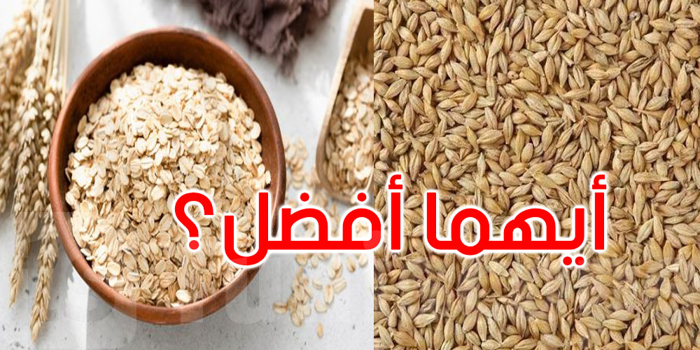 حبوب غنية بالألياف.. أيهما يتفوق الشوفان أم الشعير؟