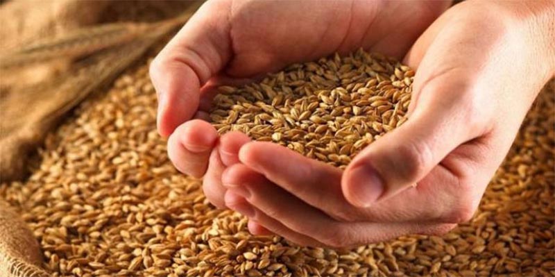 Augmentation du prix d'achat des céréales auprès des producteurs