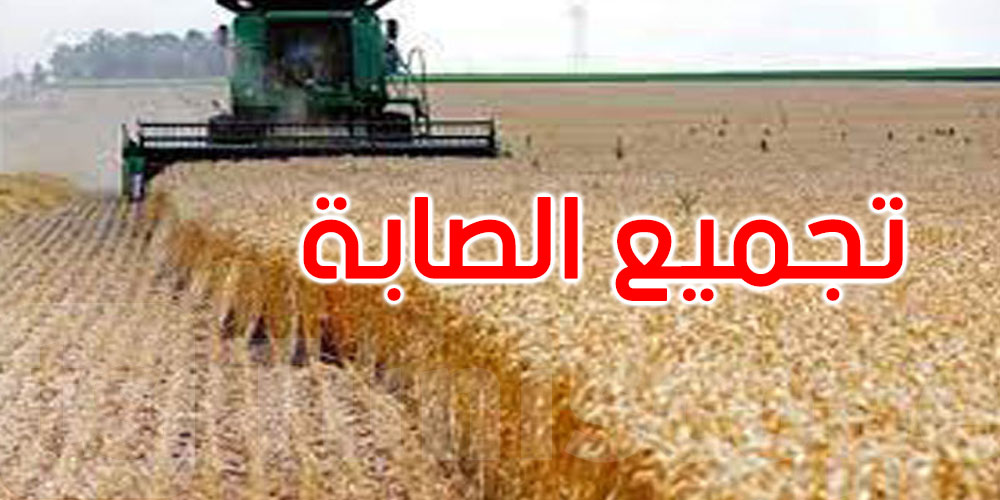 صابة الحبوب: تجميع 6.109 مليون قنطار...التفاصيل