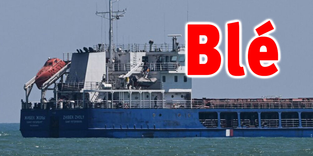 Déchargement de deux navires de blé en provenance de Russie