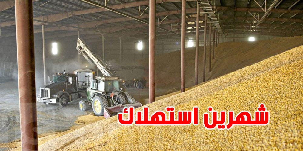 مخزون تونس من الحبوب يغطّي الحاجيات الى منتصف فيفري 2022